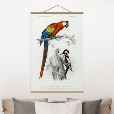 Stoffbild mit Posterleisten - Vintage Lehrtafel Papagei Rot Blau - Hochformat 2:3