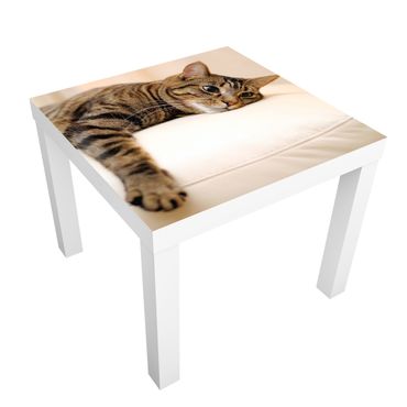 Möbelfolie für IKEA Lack - Klebefolie Cat Chill Out