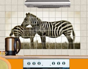 Fliesenbild - Zebrapaar