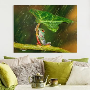 Leinwandbild - Ein Frosch im Regen - Querformat 3:4