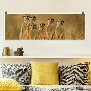 Poster - Meerkat Family - Panorama Querformat