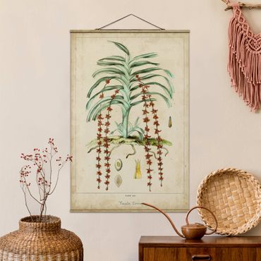 Stoffbild mit Posterleisten - Vintage Lehrtafel Exotische Palmen IV - Hochformat 2:3