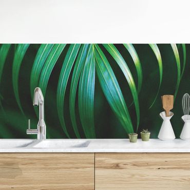 Küchenrückwand - Palmenwedel
