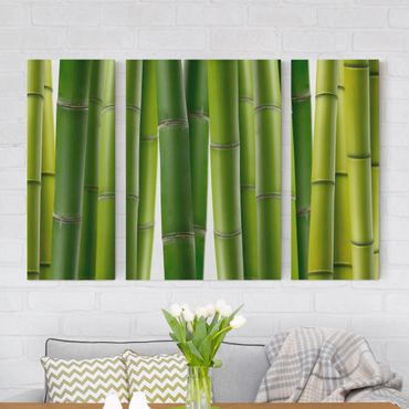 Leinwandbild 3-teilig - Bambuspflanzen - Triptychon