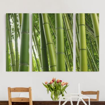 Leinwandbild 3-teilig - Bamboo Trees - Triptychon