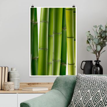 Poster - Bambuspflanzen - Hochformat 3:2