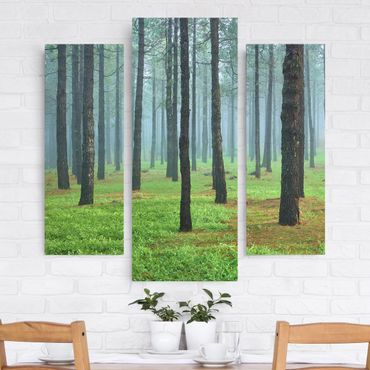 Leinwandbild 3-teilig - Tiefer Wald mit Kiefern auf La Palma - Galerie Triptychon