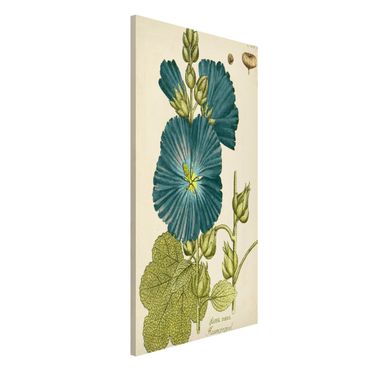 Magnettafel - Vintage Botanik in Blau Rosenpappel - Memoboard Hochformat 4:3
