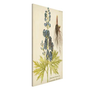 Magnettafel - Vintage Botanik in Blau Sturmhut - Memoboard Hochformat 4:3