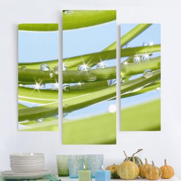 Leinwandbild 3-teilig - Fresh Green - Galerie Triptychon