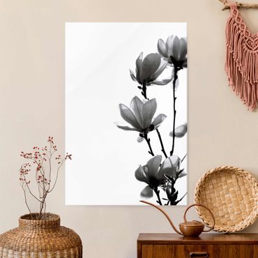 Glasbild - Frühlingsbote Magnolie Schwarz Weiß - Hochformat