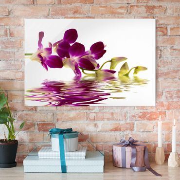 Glasbild - Pink Orchid Waters - Quer 3:2