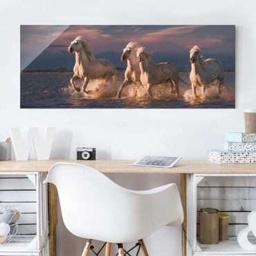 Glasbild - Wilde Pferde in Kamargue - Panorama