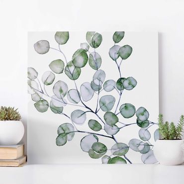 Glasbild - Grünes Aquarell Eukalyptuszweig - Quadrat