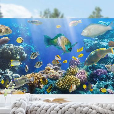 Fönsterfilm - Underwater Reef