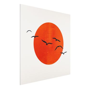 Forex Fine Art Print - Vogelschwarm vor roter Sonne I - Quadrat 1:1