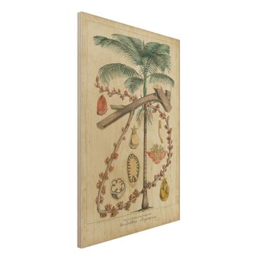 Holzbild - Vintage Lehrtafel Exotische palmen II - Hochformat 3:2