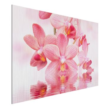 Alu-Dibond Bild - Rosa Orchideen auf Wasser