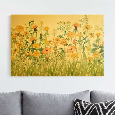 Canvastavla - Watercolour Flower Meadow In Yellow