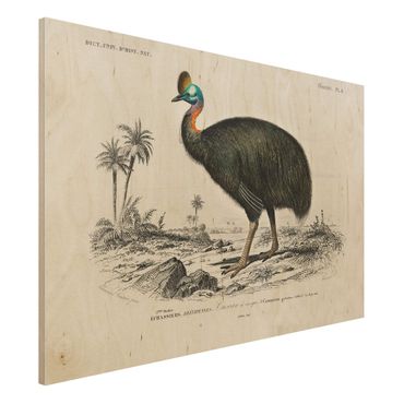 Holzbild - Vintage Lehrtafel Emu - Querformat 2:3