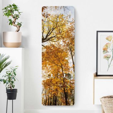 Klädhängare vägg träpanel - Trees in autumnal colouring