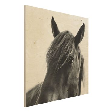Holzbild - Neugieriges Pferd - Quadrat 1:1