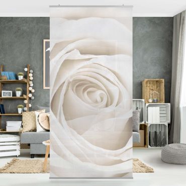Rosenbild Raumteiler - Pretty White Rose - Blumen Raumtrenner 250x120cm