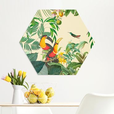 Hexagon Bild Forex - Vintage Collage - Vögel im Dschungel