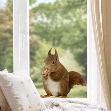 Fensterfolie - Fenstersticker No.137 Eichhörnchen - Fensterbilder