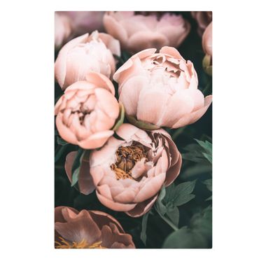 Canvastavla - A bouquet of peonies