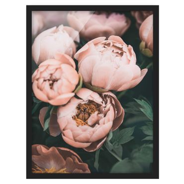 Tavla med ram - A bouquet of peonies