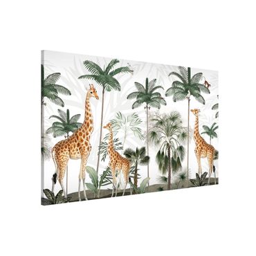 Magnettavla - Elegance of the giraffes in the jungle