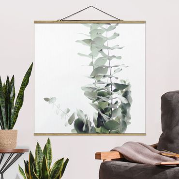Stoffbild mit Posterleisten - Eukalyptus im Weißen Licht - Quadrat 1:1