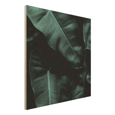 Holzbild - Dschungel Blätter Dunkelgrün - Quadrat 1:1
