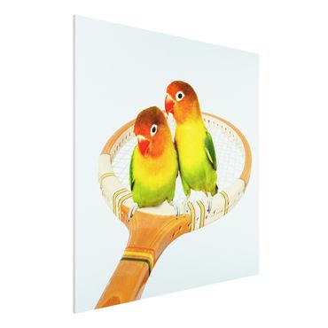 Forex Fine Art Print - Jonas Loose - Tennis mit Vögeln - Quadrat 1:1