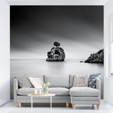 Fototapete - Felseninsel im Meer Schwarz-Weiß
