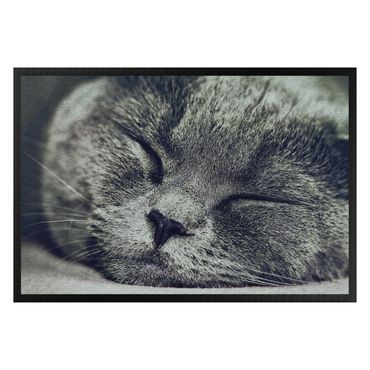 Fußmatte - Schlafende Katze