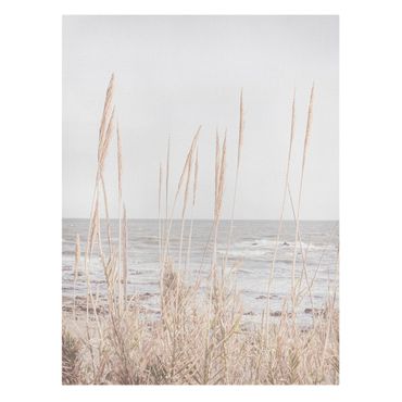 Canvastavla - Grasses by the sea