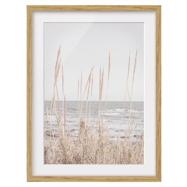 Tavla med ram - Grasses by the sea