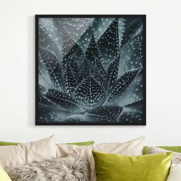 Bild mit Rahmen - Kaktus mit Sternpunkten bei Nacht - Quadrat