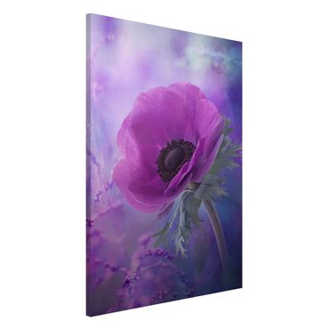 Magnettafel - Anemonenblüte in Violett - Memoboard Hoch
