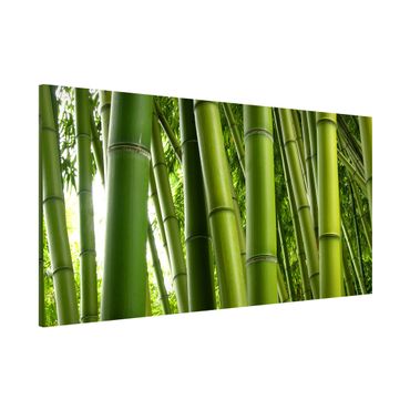 Magnettafel - Bamboo Trees - Memoboard Panorama Quer