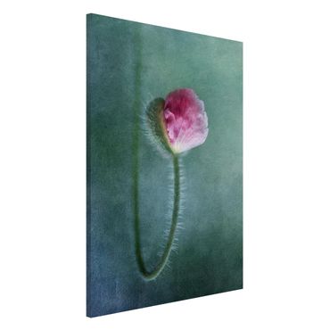 Magnettafel - Blüte in Rosa - Memoboard Hoch