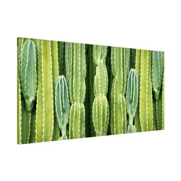 Magnettafel - Kaktus Wand - Memoboard Panorama Querformat
