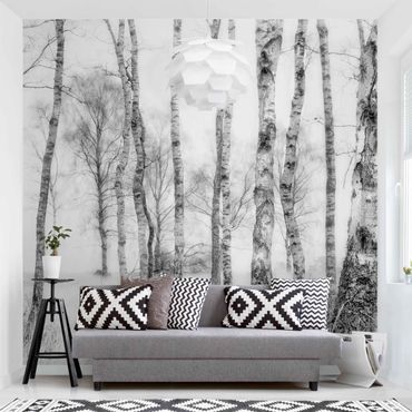 Fototapet - Mystic Birch Forest Black And White