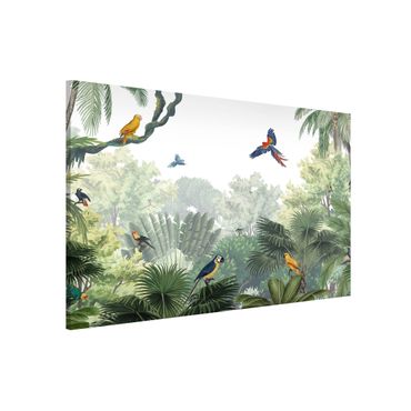 Magnettavla - Parrot parade in the gentle jungle