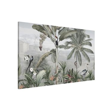 Magnettavla - Birds of paradise in the jungle panorama