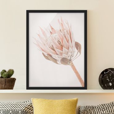Bild mit Rahmen - Protea Königin der Blüten - Hochformat
