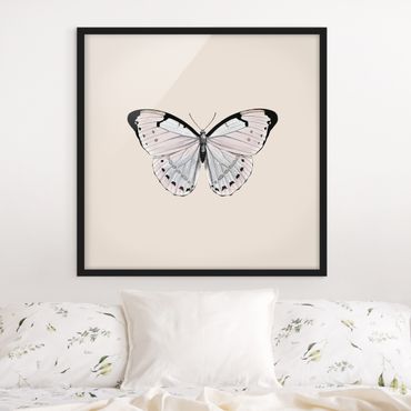 Bild mit Rahmen - Schmetterling auf Beige - Quadrat