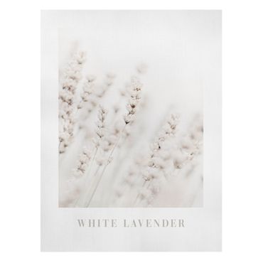 Canvastavla - White Lavender
